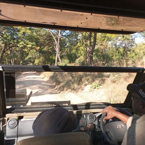 Safari jeep driving into Gorongosa National Park