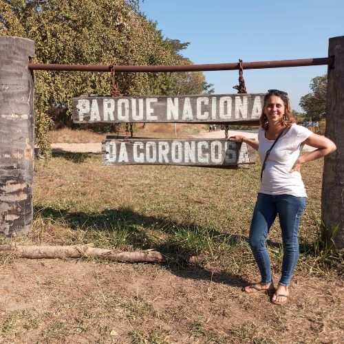 Road to Gorongosa National Park along highway N1 in Mozambique