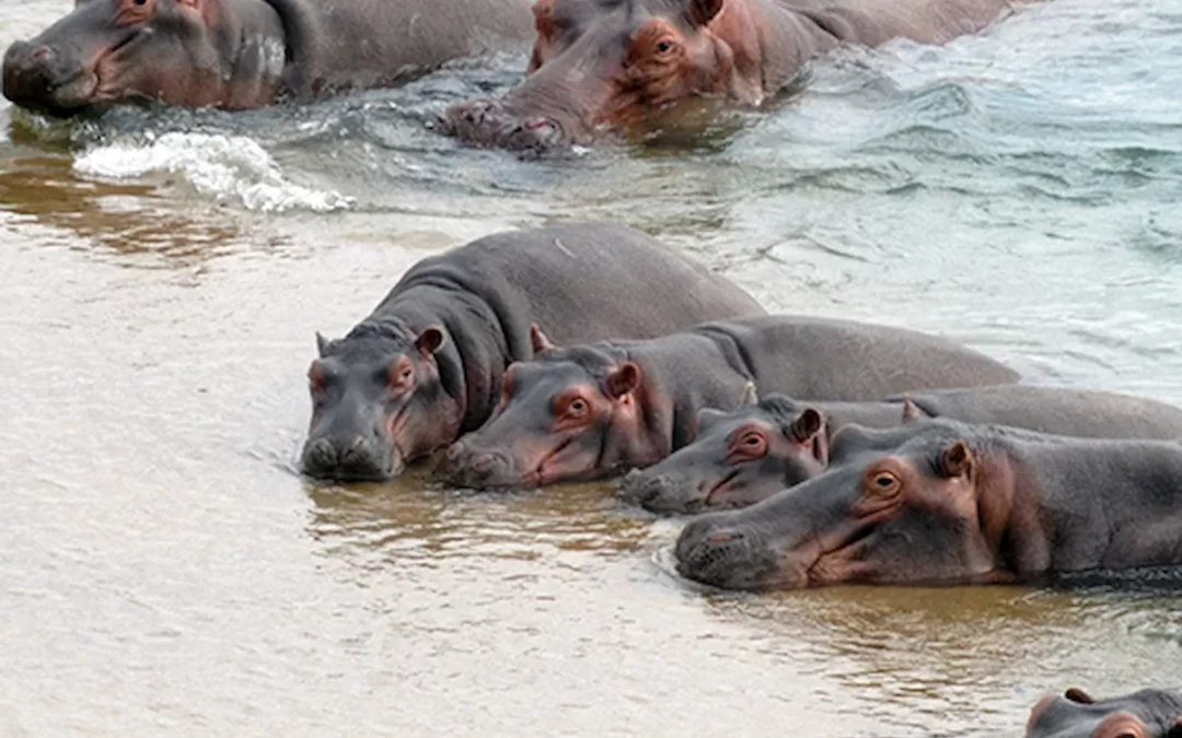 What are the best places to visit in Mozambique?