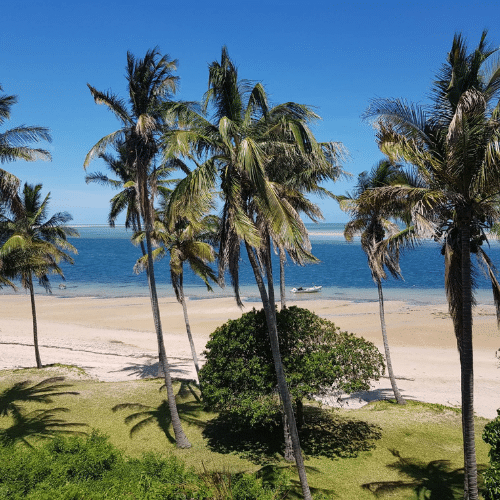 Tropical beach in Vilanculos Mozambique Mindfulness and wellbeing retreats & workshops Vilanculos Mozambique