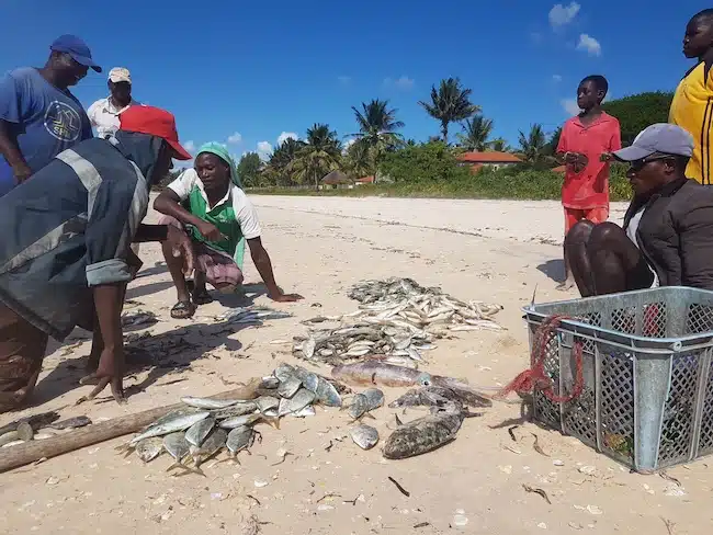 Local fish beach Vilanculos Mozambique 5 things that make Mozambique unique 2. Authentic and undiscovered