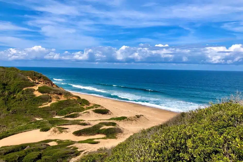 Bush en Strand: Mindfulness, Surf en Yoga Retreat September 2025