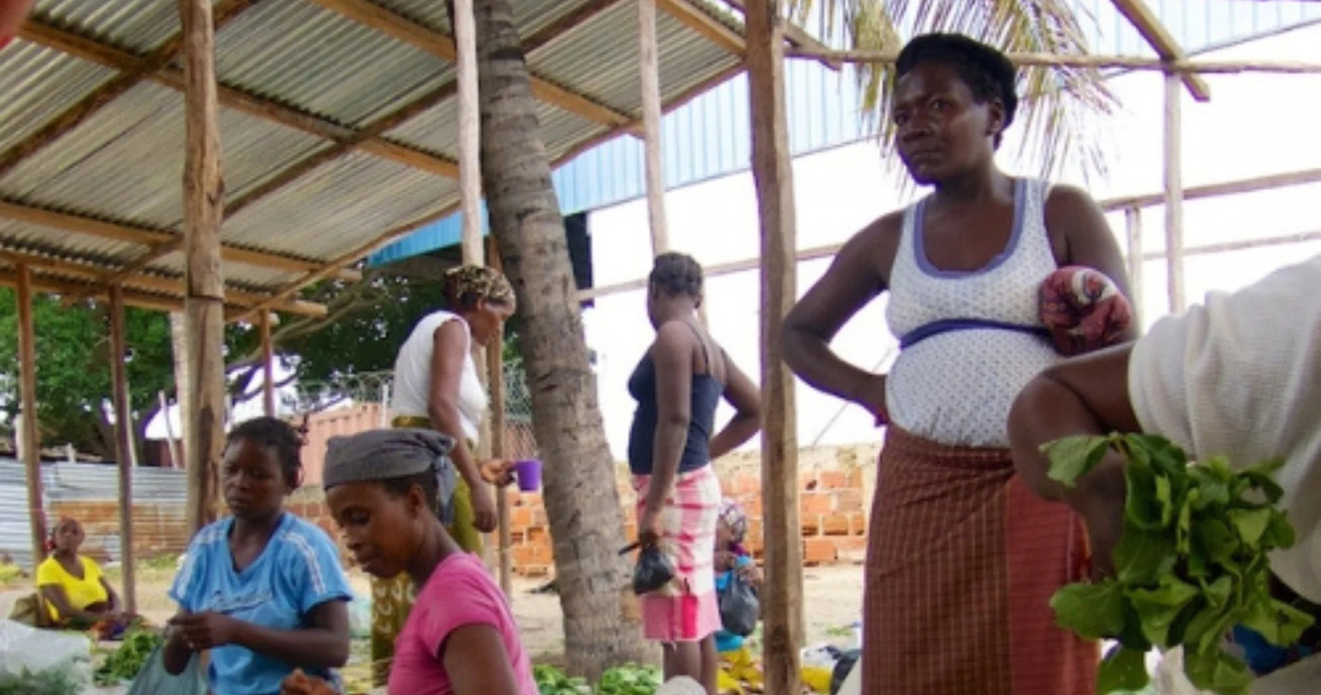 Ons huis met tropische tuin en zeezicht Solo Mindfulness Retraite & Yoga in Afrika Mozambique. Persoonlijke reizen op maat.