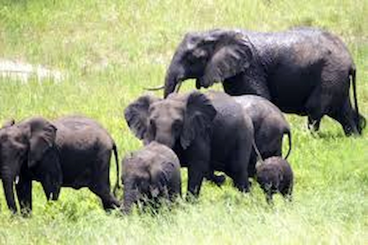Maputo National Park Mozambique Beste plaatsen om te bezoeken in Mozambique. 8. Maputo Nationaal Park. Lees hier mijn persoonlijke top 10 en ontdek uniek Mozambique met mij.