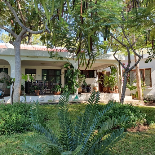 Solo Mindfulness Retraite & Yoga in Afrika Mozambique. Persoonlijke reizen op maat.
