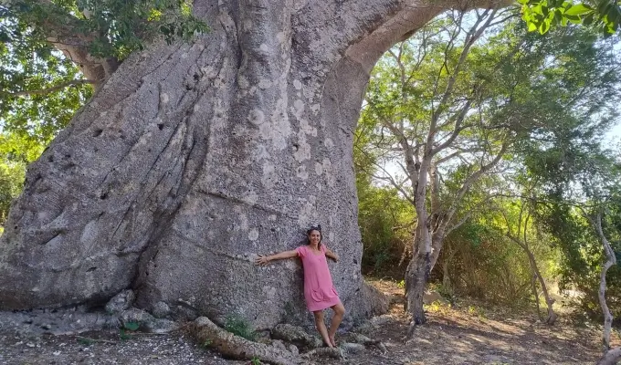 What to do in Vilanculos Mozambique? Visit the archaeological site in Chibuene with its giant Baoabab Trees!