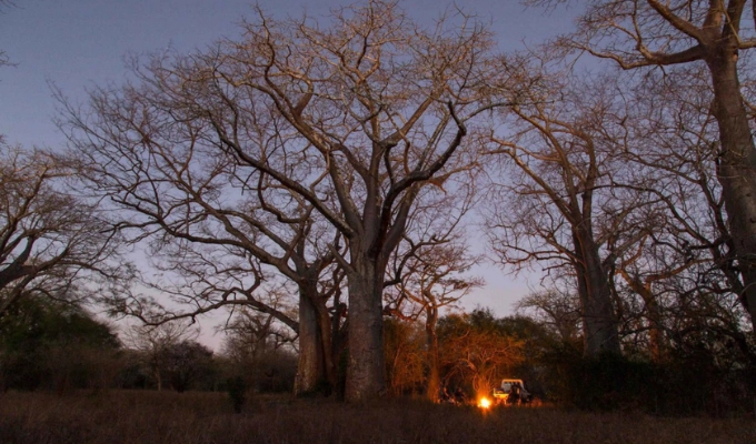 Bush Beach & Wellbeing Men's Retreat Zinave National Park Mozambique