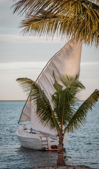 What to do in Mozambique - Dhow Sailing a unique experience