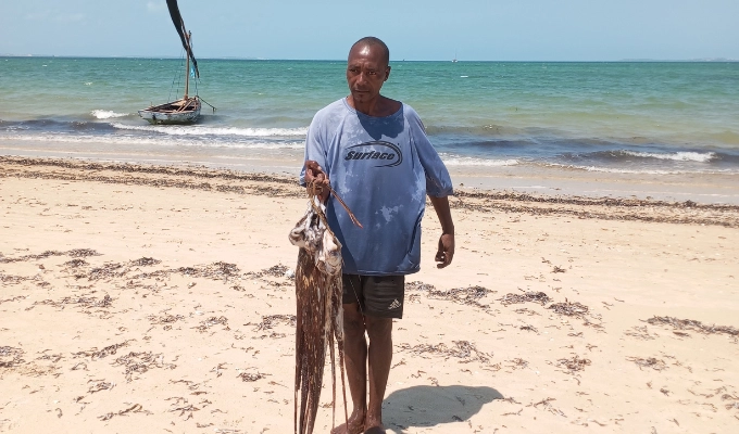 What to do in Mozambique buyt your dinner fresh from the beach