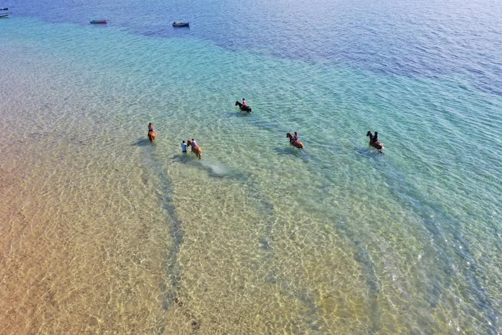 Horseriding in Africa Highlights Mozambique small group tour October 2026