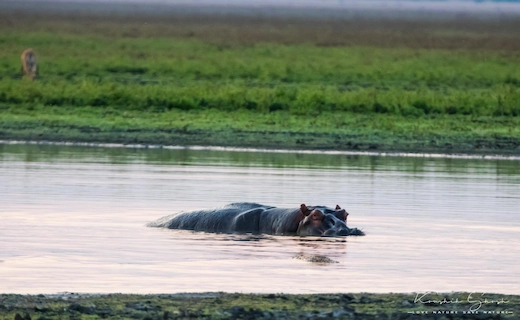 Gorongosa National Park Highlights Mozambique small group tour October 2026