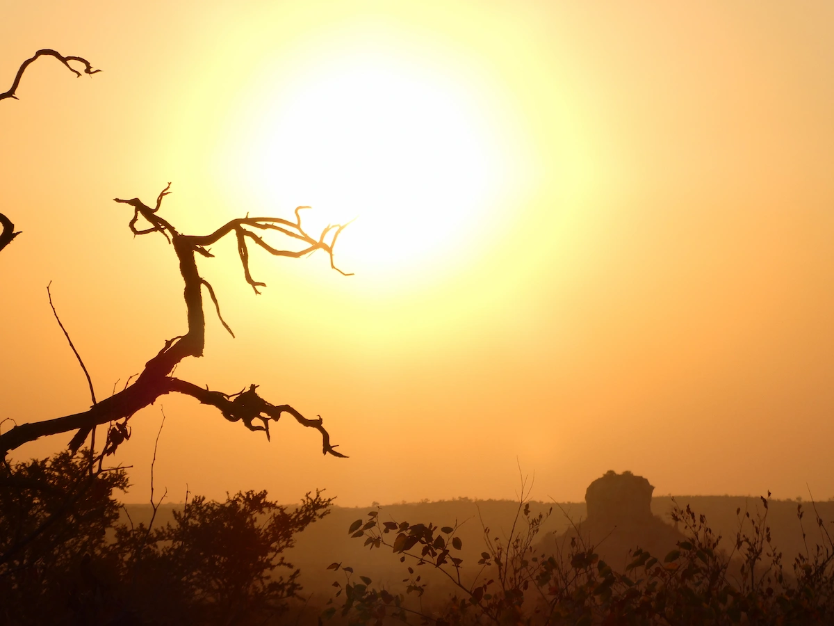 Bright African sun over the South African bush landscape during a bush and beach safari experience