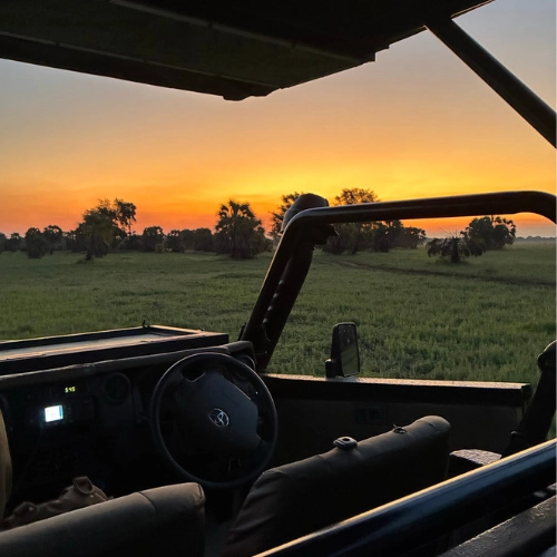A safari vehicle driving through Gorongosa National Park at sunset in Mozambique.
