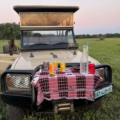 A safari jeep with sundowner drinks parked in Gorongosa National Park at sunset in Mozambique.