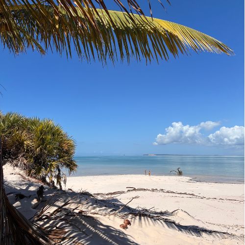 Tropical beach with bright white sand and turquoise water on Magaruque Island in the Bazaruto Archipelago, Mozambique