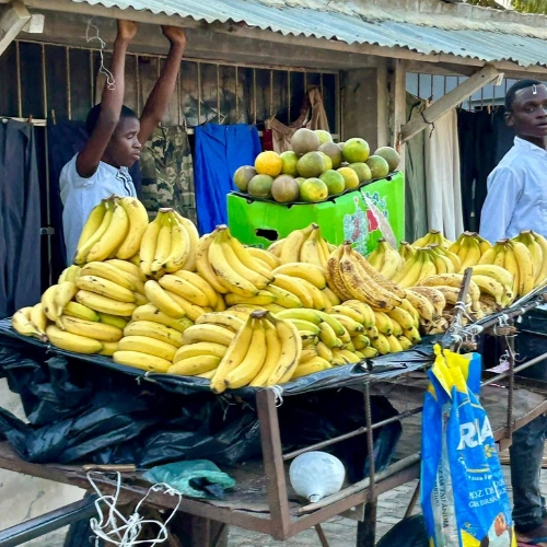Local fruit seller in Mozambique selling fresh bananas